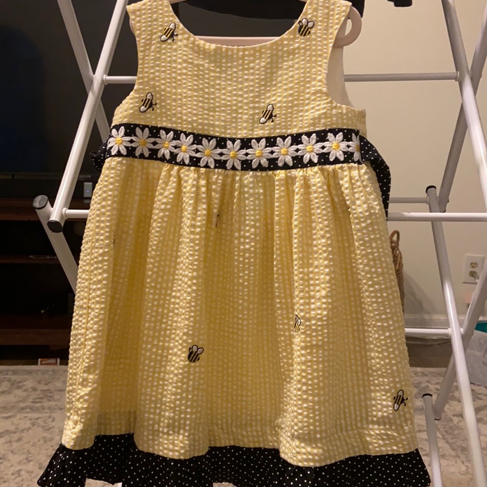 Emily rose toddler dress
